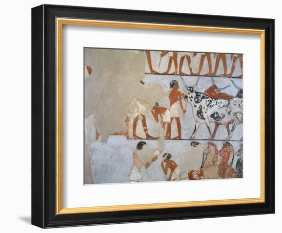 Egypt, Thebes, Luxor, Tomb of Army General Tjenuny, Mural Paintings Showing Cows and Horses-null-Framed Giclee Print