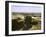 Egypt -Thebes-English Photographer-Framed Giclee Print