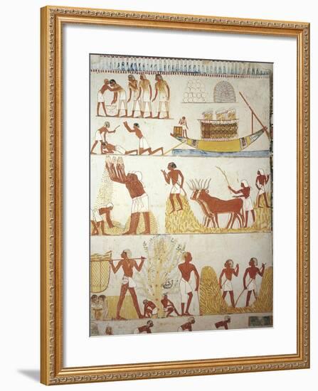 Egypt, Tomb of Royal Estate Supervisor Menna, Vestibule, Mural Paintings, Working in Fields-null-Framed Giclee Print