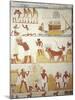 Egypt, Tomb of Royal Estate Supervisor Menna, Vestibule, Mural Paintings, Working in Fields-null-Mounted Giclee Print