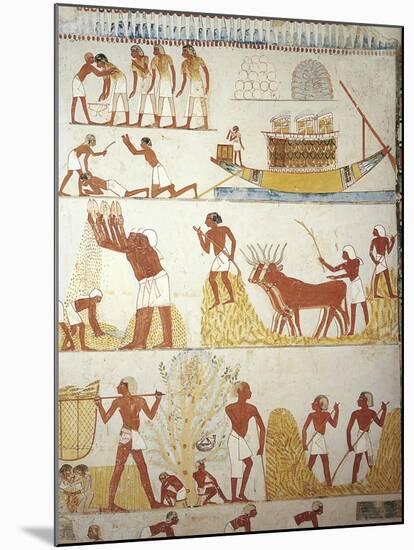 Egypt, Tomb of Royal Estate Supervisor Menna, Vestibule, Mural Paintings, Working in Fields-null-Mounted Giclee Print