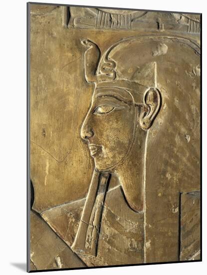 Egypt Valley of the Kings, Close-Up of Relief in Corridor Representing Pharaoh, Tomb of Seti I-null-Mounted Giclee Print