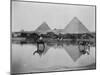 Egypt, Village and pyramids during the flood-time, c.1890-1900-null-Mounted Photographic Print
