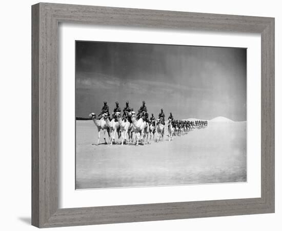 Egyptian Camel Corps-null-Framed Photographic Print