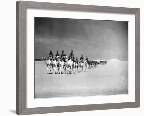 Egyptian Camel Corps-null-Framed Photographic Print