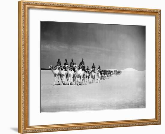 Egyptian Camel Corps-null-Framed Photographic Print