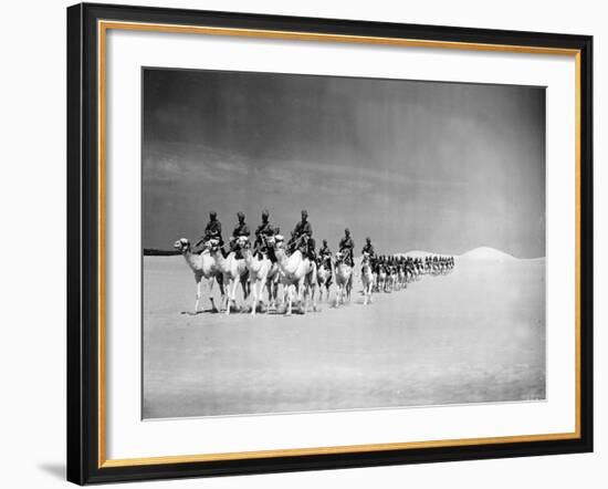 Egyptian Camel Corps-null-Framed Photographic Print