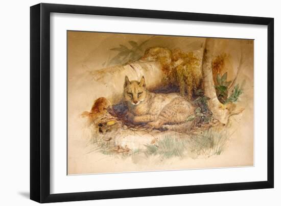 Egyptian Cat, 1851-69-Joseph Wolf-Framed Giclee Print