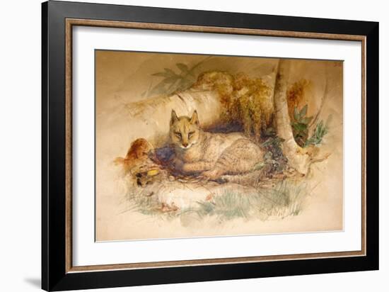 Egyptian Cat, 1851-69-Joseph Wolf-Framed Giclee Print