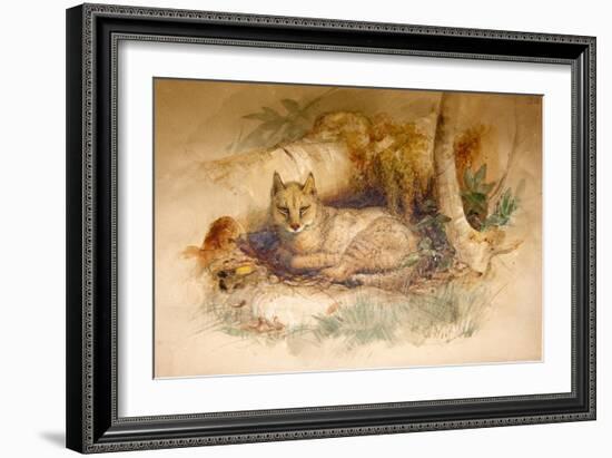 Egyptian Cat, 1851-69-Joseph Wolf-Framed Giclee Print