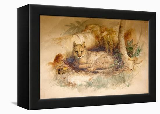 Egyptian Cat, 1851-69-Joseph Wolf-Framed Premier Image Canvas