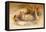 Egyptian Cat, 1851-69-Joseph Wolf-Framed Premier Image Canvas