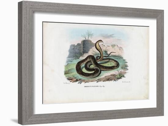 Egyptian Cobra, 1863-79-Raimundo Petraroja-Framed Giclee Print