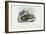 Egyptian Cobra, 1863-79-Raimundo Petraroja-Framed Giclee Print