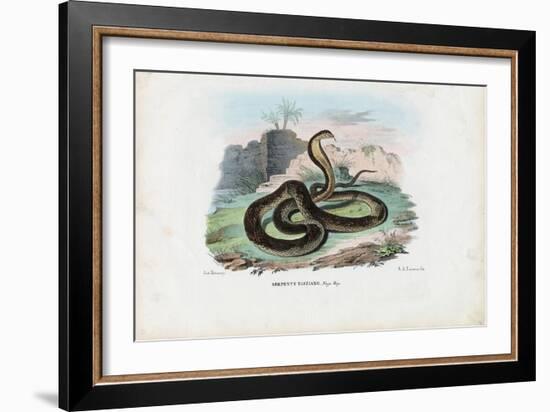 Egyptian Cobra, 1863-79-Raimundo Petraroja-Framed Giclee Print