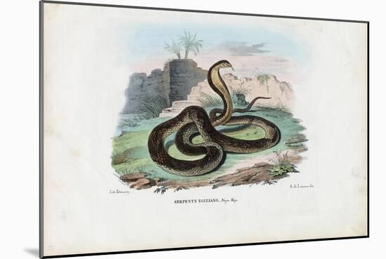 Egyptian Cobra, 1863-79-Raimundo Petraroja-Mounted Giclee Print