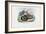 Egyptian Cobra, 1863-79-Raimundo Petraroja-Framed Giclee Print