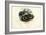 Egyptian Cobra, 1863-79-Raimundo Petraroja-Framed Giclee Print