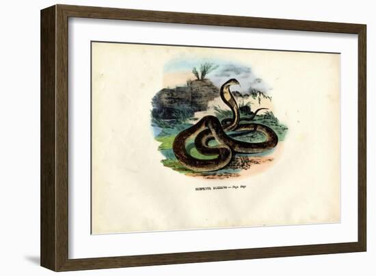 Egyptian Cobra, 1863-79-Raimundo Petraroja-Framed Giclee Print