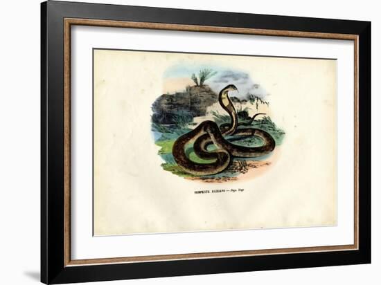 Egyptian Cobra, 1863-79-Raimundo Petraroja-Framed Giclee Print