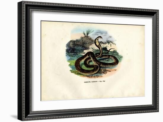 Egyptian Cobra, 1863-79-Raimundo Petraroja-Framed Giclee Print