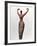 Egyptian Figure-null-Framed Photographic Print