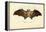 Egyptian Fruit Bat, 1863-79-Raimundo Petraroja-Framed Premier Image Canvas