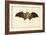 Egyptian Fruit Bat, 1863-79-Raimundo Petraroja-Framed Giclee Print