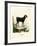 Egyptian Goat-null-Framed Giclee Print