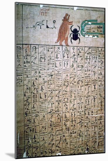 Egyptian hieroglyphs from a Book of the Dead. Artist: Unknown-Unknown-Mounted Giclee Print