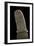 Egyptian ivory handle of a dagger. Artist: Unknown-Unknown-Framed Giclee Print