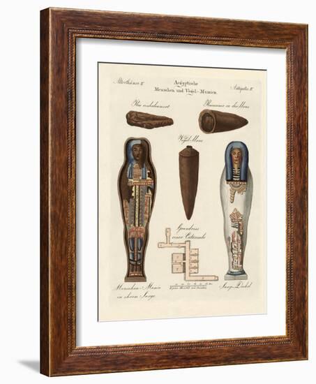 Egyptian Mummies-null-Framed Giclee Print