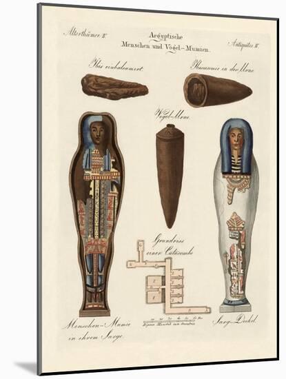 Egyptian Mummies-null-Mounted Giclee Print