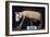 Egyptian mummy of a cat from the Louvre's collection. Artist: Unknown-Unknown-Framed Giclee Print