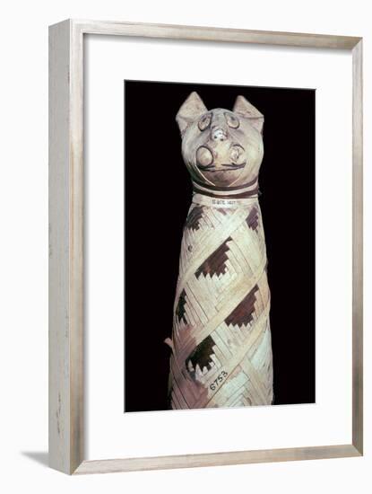 Egyptian mummy of a cat-Unknown-Framed Giclee Print