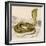 Egyptian or Brown Cobra-null-Framed Photographic Print