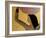 Egyptian Priestess 2015-Susan Adams-Framed Giclee Print