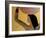 Egyptian Priestess 2015-Susan Adams-Framed Giclee Print