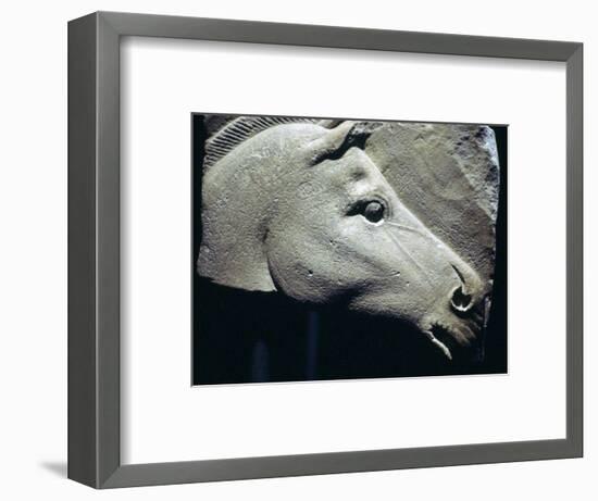 Egyptian relief of a horse's head. Artist: Unknown-Unknown-Framed Giclee Print