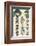 Egyptian Treasures - Botanics-Historic Collection-Framed Giclee Print