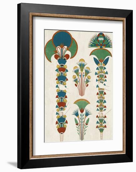 Egyptian Treasures - Botanics-Historic Collection-Framed Giclee Print