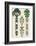 Egyptian Treasures - Botanics-Historic Collection-Framed Giclee Print