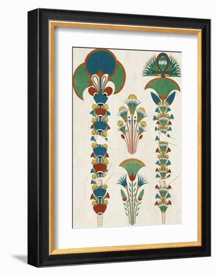 Egyptian Treasures - Botanics-Historic Collection-Framed Giclee Print