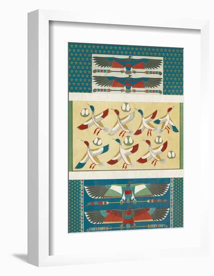 Egyptian Treasures - Cranes-Historic Collection-Framed Giclee Print