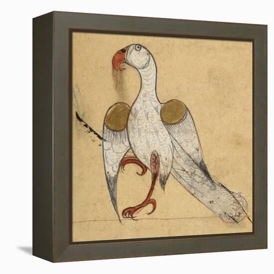 Egyptian Vulture-Aristotle ibn Bakhtishu-Framed Premier Image Canvas