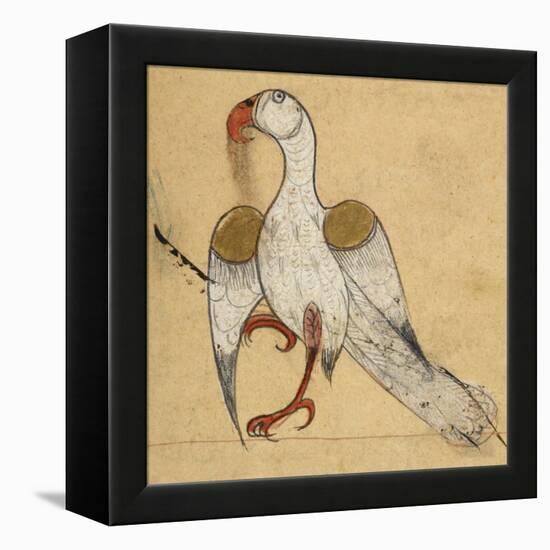 Egyptian Vulture-Aristotle ibn Bakhtishu-Framed Premier Image Canvas