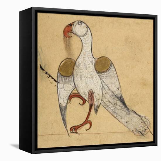 Egyptian Vulture-Aristotle ibn Bakhtishu-Framed Premier Image Canvas