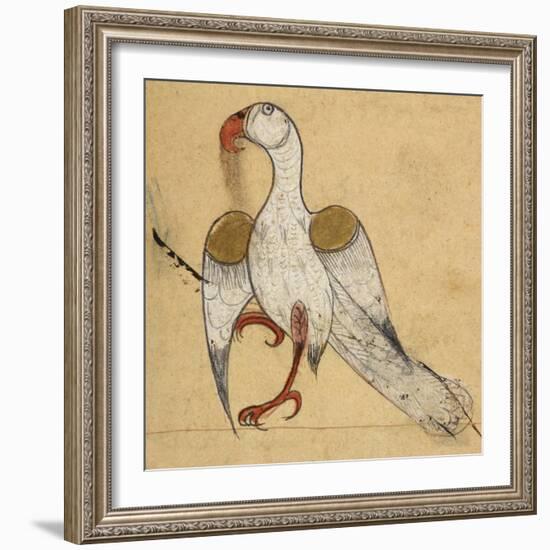 Egyptian Vulture-Aristotle ibn Bakhtishu-Framed Giclee Print