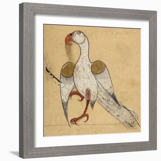 Egyptian Vulture-Aristotle ibn Bakhtishu-Framed Giclee Print