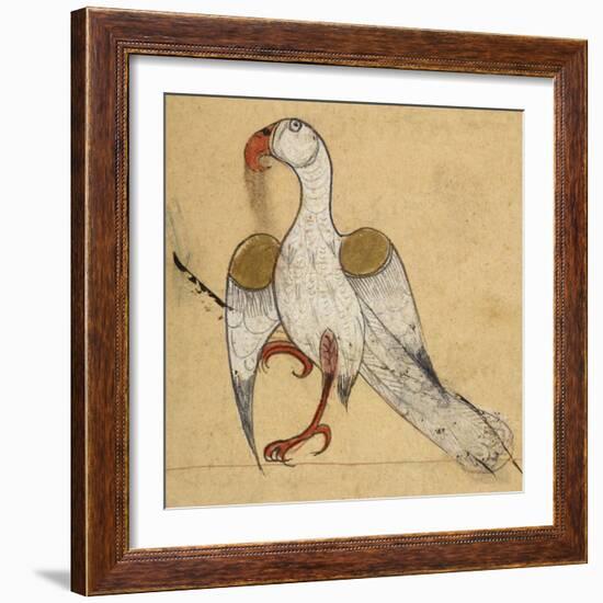 Egyptian Vulture-Aristotle ibn Bakhtishu-Framed Giclee Print